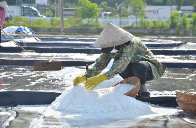 Preserving Sa Huynh salt fields, fostering sustainable livelihoods